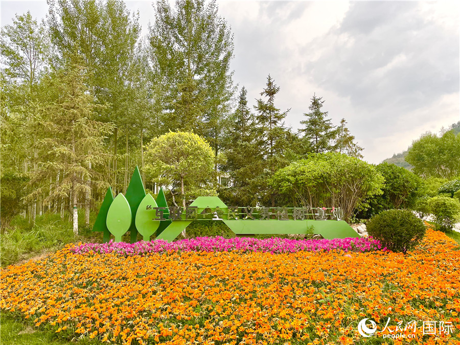 ɽ@ʢ_rW(wng) ٻz