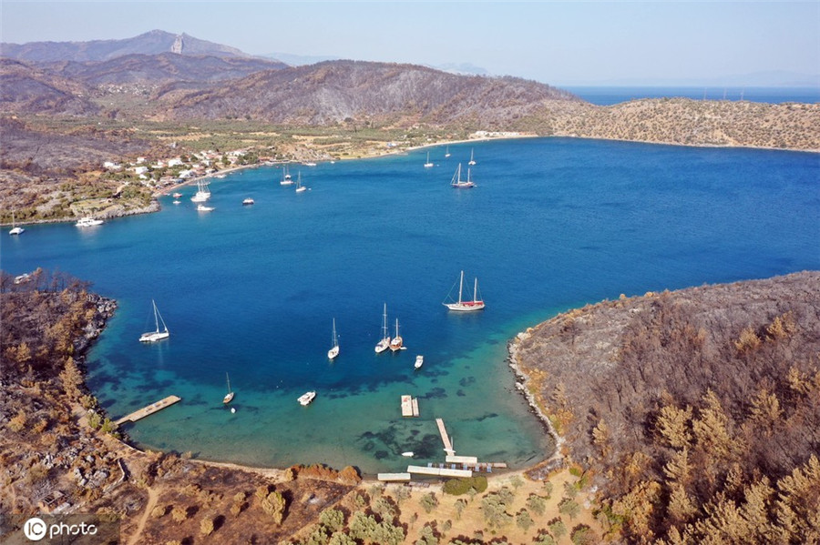 ICPhoto(qun)ƷՈD(zhun)d