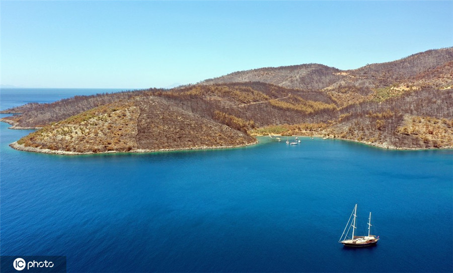 ICPhoto(qun)ƷՈ(qng)D(zhun)d