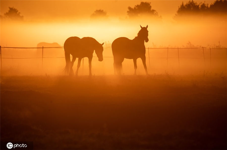 ICPhoto(qun)ƷՈD(zhun)d