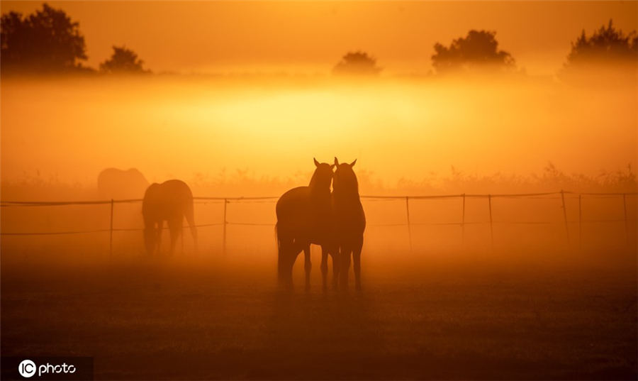 ICPhoto(qun)ƷՈ(qng)D(zhun)d