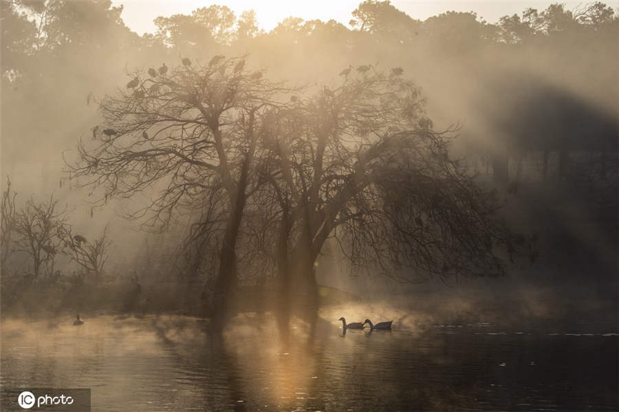 ICPhoto(qun)ƷՈ(qng)D(zhun)d