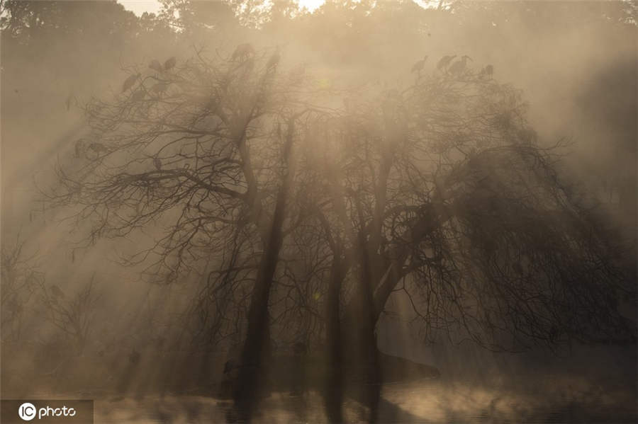 ICPhoto(qun)ƷՈ(qng)D(zhun)d