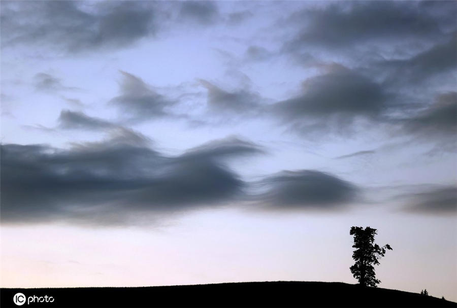 ICPhoto(qun)ƷՈD(zhun)d