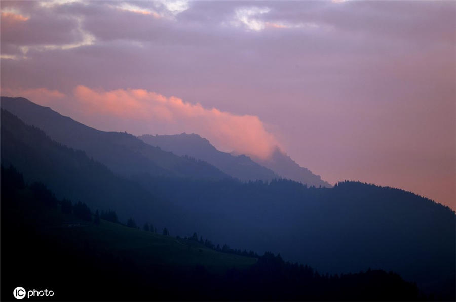 ICPhoto(qun)ƷՈ(qng)D(zhun)d