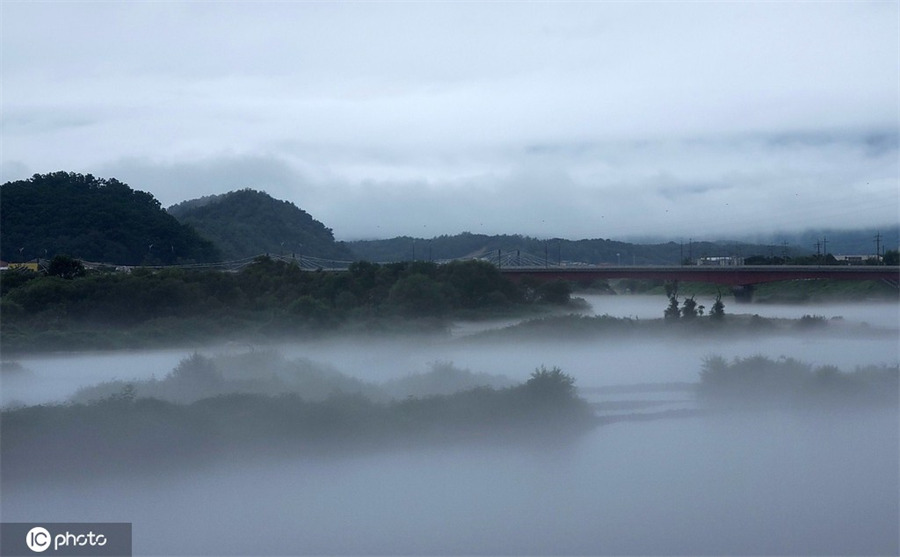 ICphoto(qun)ƷՈ(qng)D(zhun)d