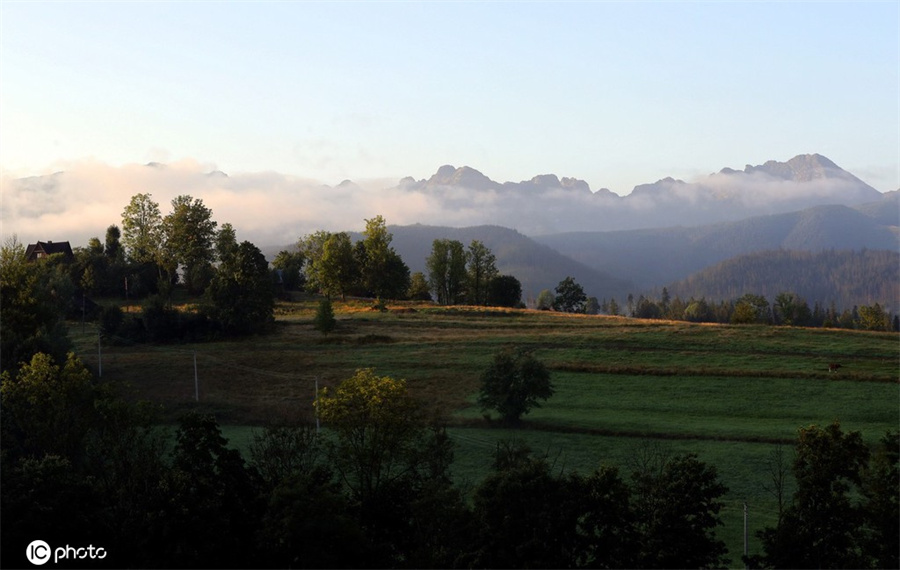 IC photo(qun)ƷՈD(zhun)d