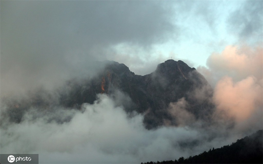 IC photo(qun)ƷՈD(zhun)d