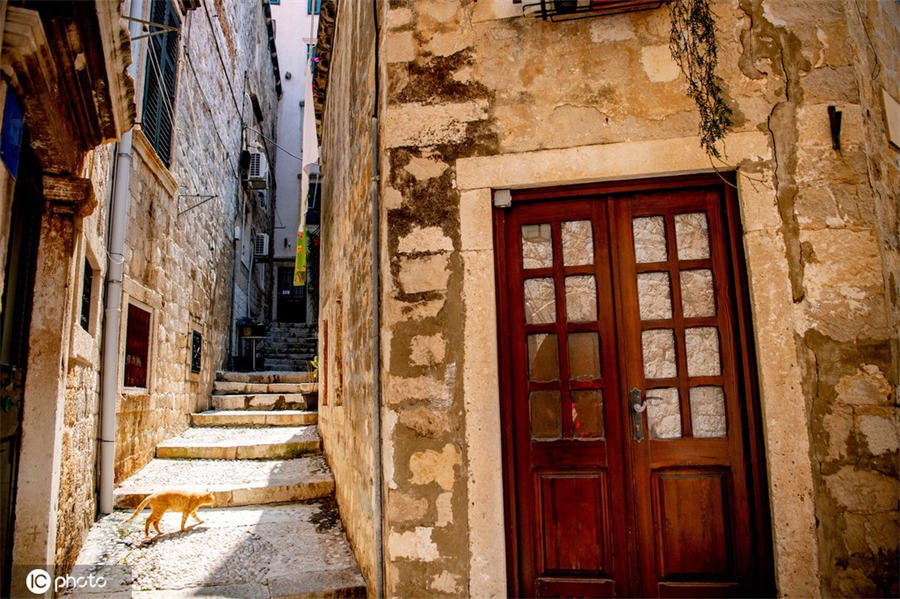 IC photo(qun)ƷՈ(qng)D(zhun)d