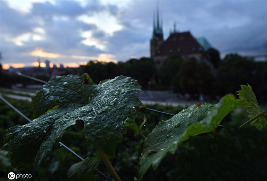 IC photo(qun)ƷՈ(qng)D(zhun)d