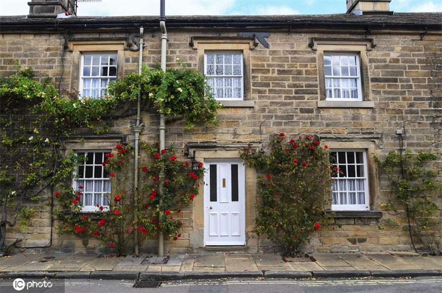 IC photo(qun)ƷՈD(zhun)d