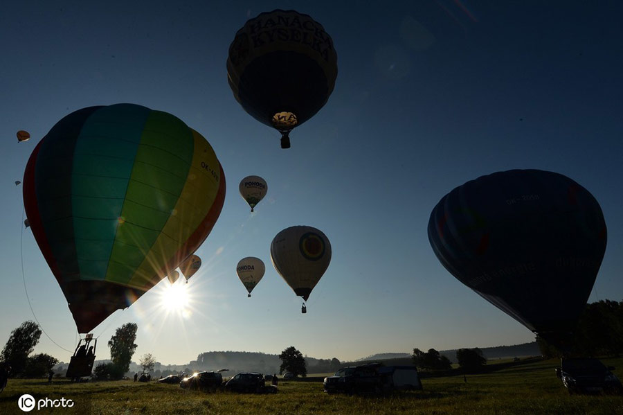 |IC(qun)ƷՈD(zhun)d