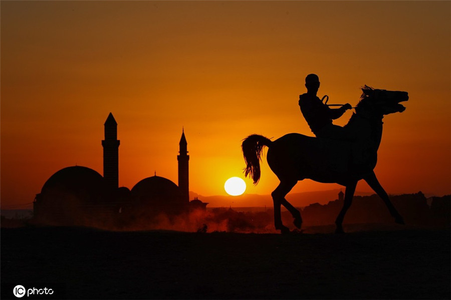 |IC(qun)ƷՈ(qng)D(zhun)d