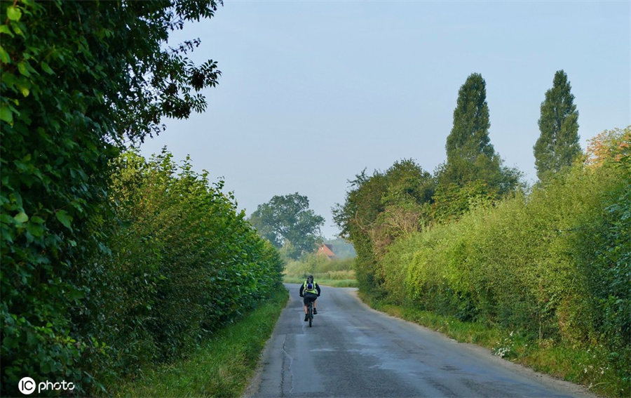 ICPhoto(qun)ƷՈ(qng)D(zhun)d