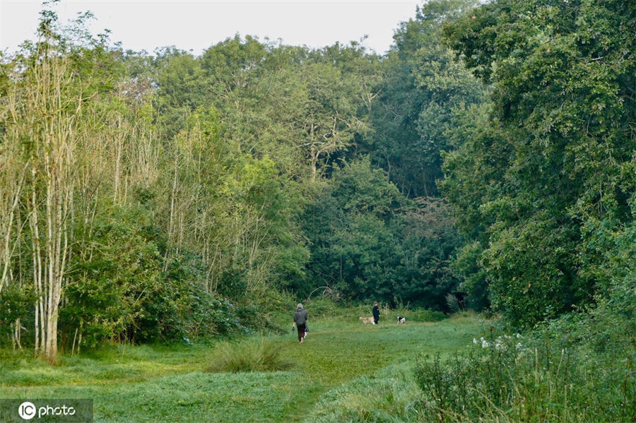 ICPhoto(qun)ƷՈD(zhun)d