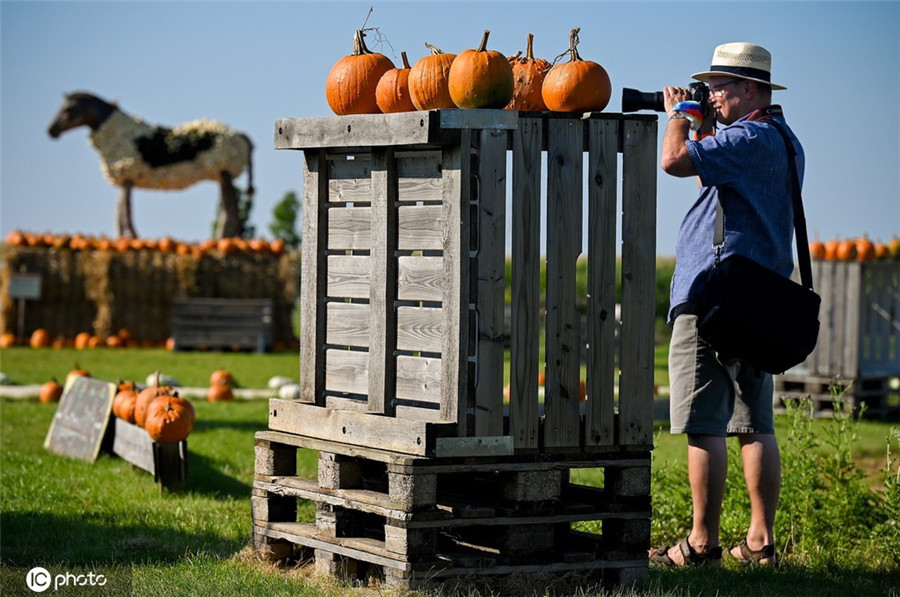 ICPhoto(qun)ƷՈD(zhun)d