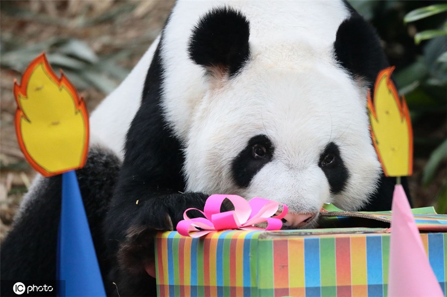 ICPhoto(qun)ƷՈD(zhun)d