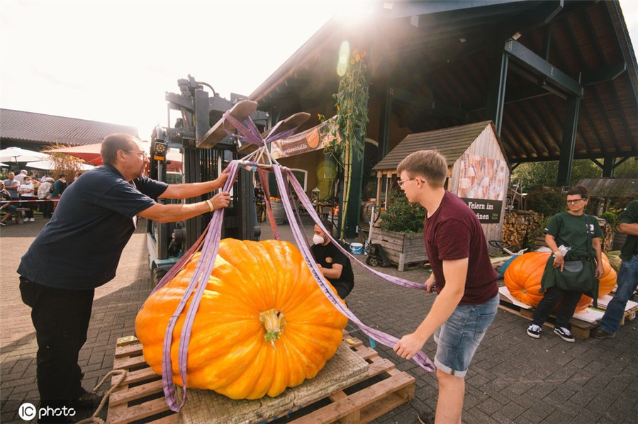 ICPhoto(qun)ƷՈD(zhun)d