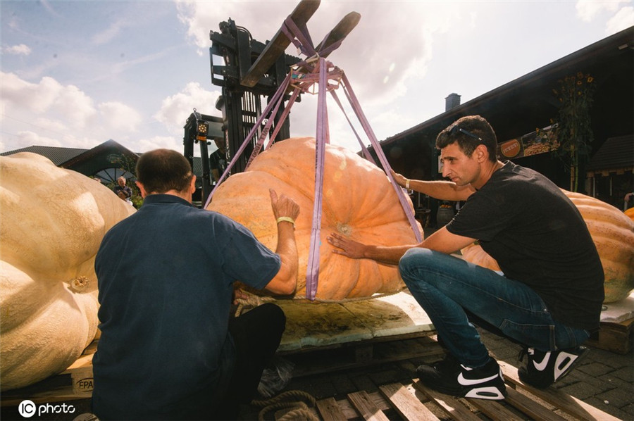 ICPhoto(qun)ƷՈD(zhun)d