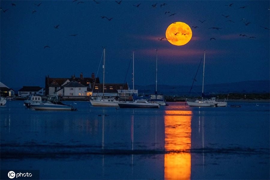 ICPhoto(qun)ƷՈD(zhun)d