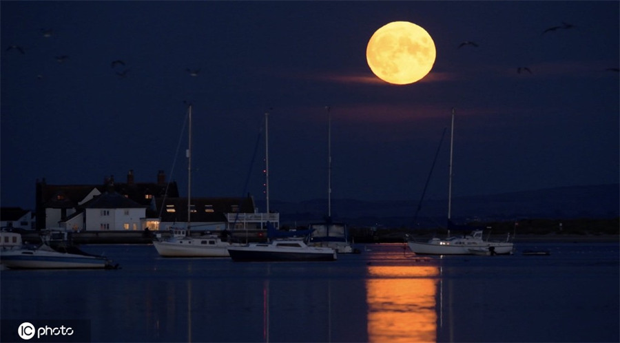 ICPhoto(qun)ƷՈD(zhun)d