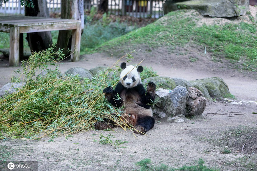 ICPhoto(qun)ƷՈD(zhun)d