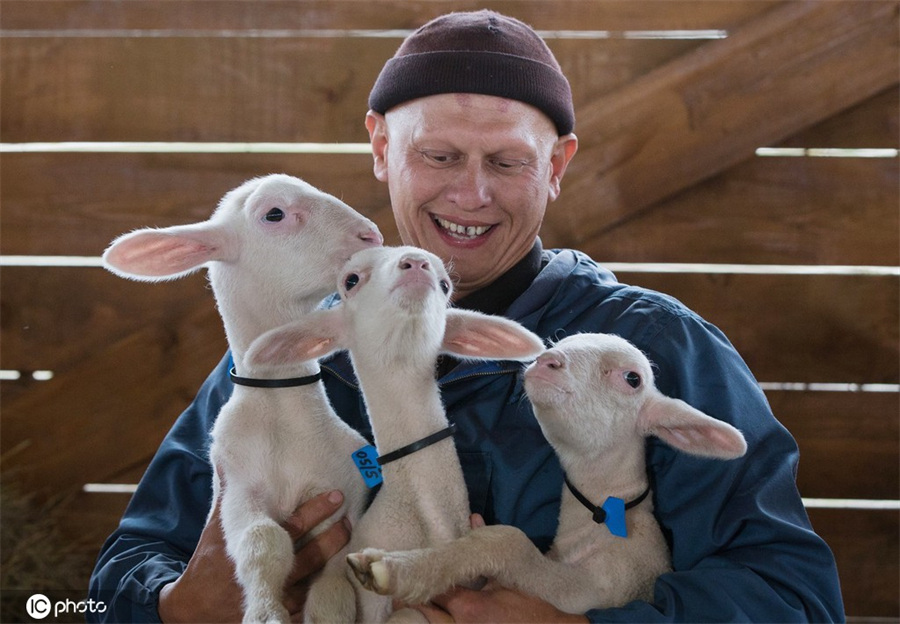 ICPhoto(qun)ƷՈD(zhun)d