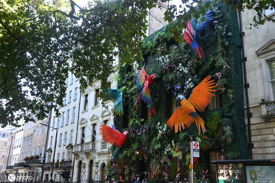 ICphoto(qun)ƷՈ(qng)D(zhun)d