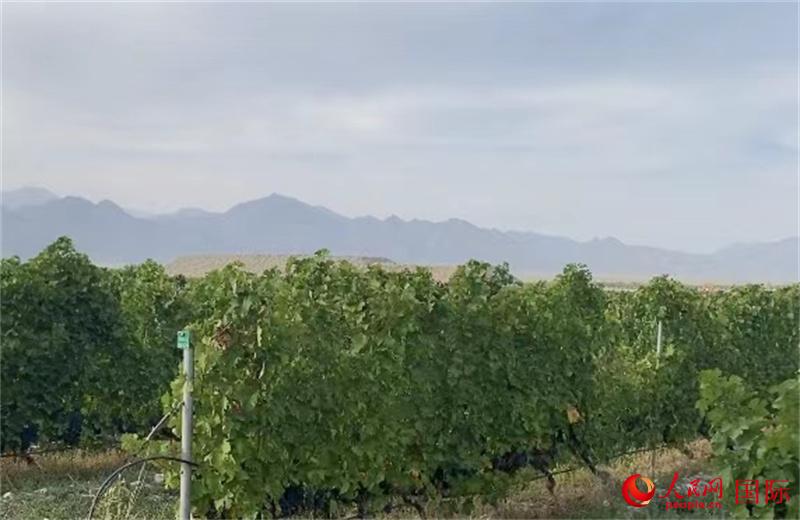 RmɽµᄾѷNֲW(wng) Ktz