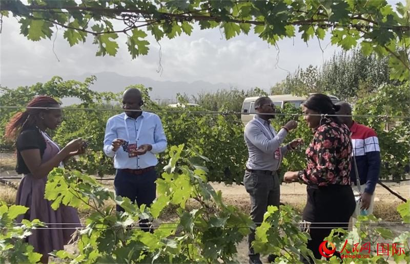 ˂?c)ѷNֲƷLW(wng) Ktz