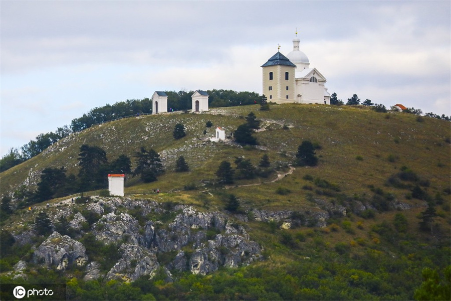 ICphoto(qun)ƷՈ(qng)D(zhun)d