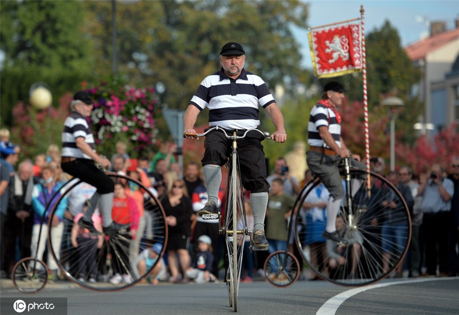 ICphoto(qun)ƷՈ(qng)D(zhun)d