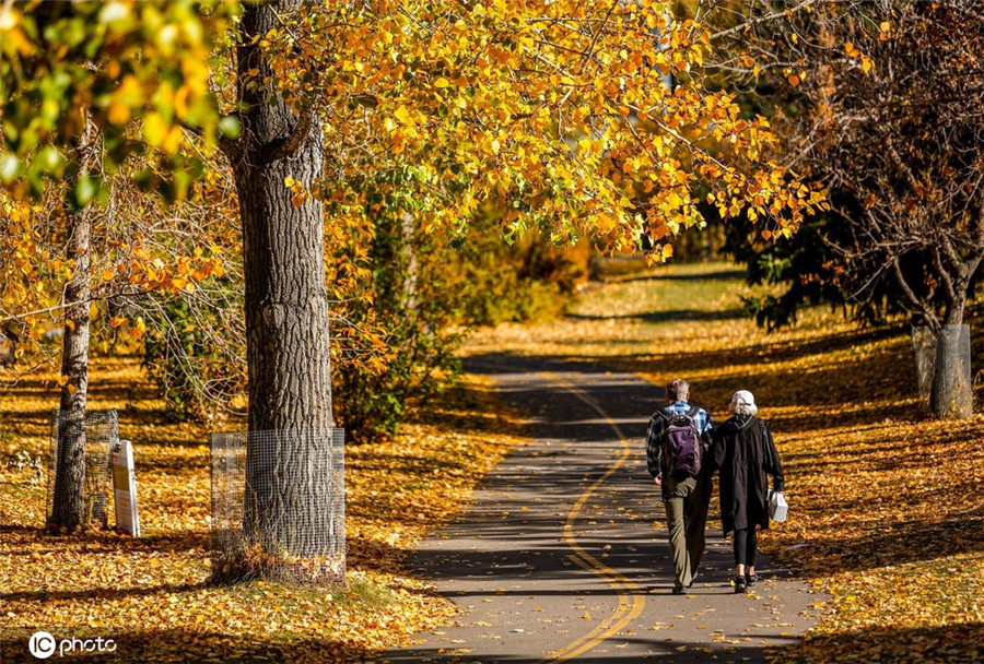 ICphoto(qun)ƷՈ(qng)D(zhun)d