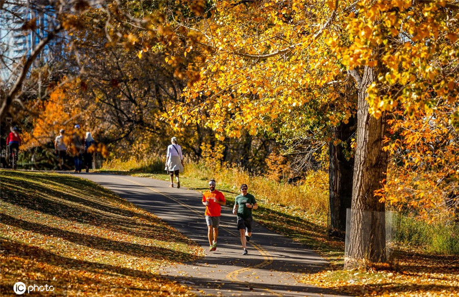 ICphoto(qun)ƷՈ(qng)D(zhun)d