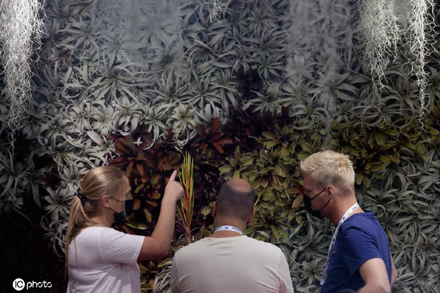 ICPhoto(qun)ƷՈD(zhun)d