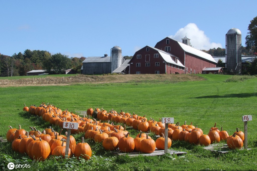 ICPhoto(qun)ƷՈD(zhun)d