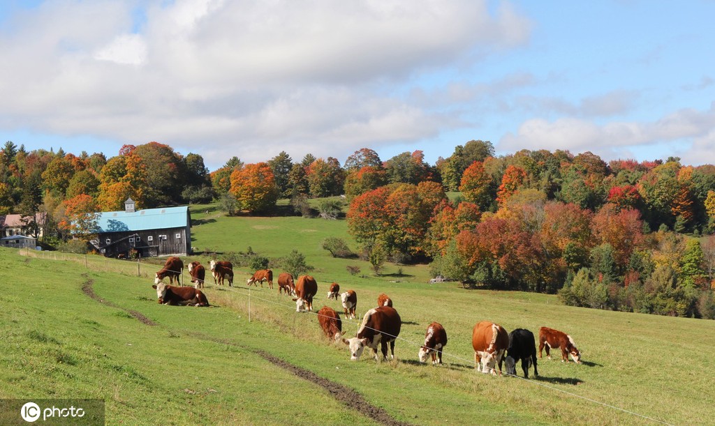 ICPhoto(qun)ƷՈD(zhun)d