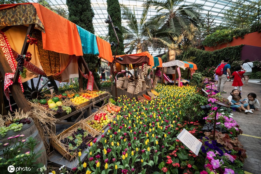 ICPhoto(qun)ƷՈ(qng)D(zhun)d