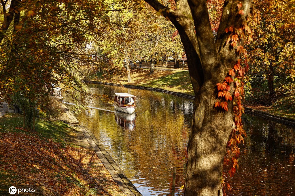 ICPhoto(qun)ƷՈD(zhun)d