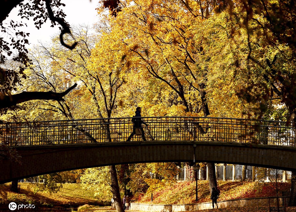 ICPhoto(qun)ƷՈD(zhun)d