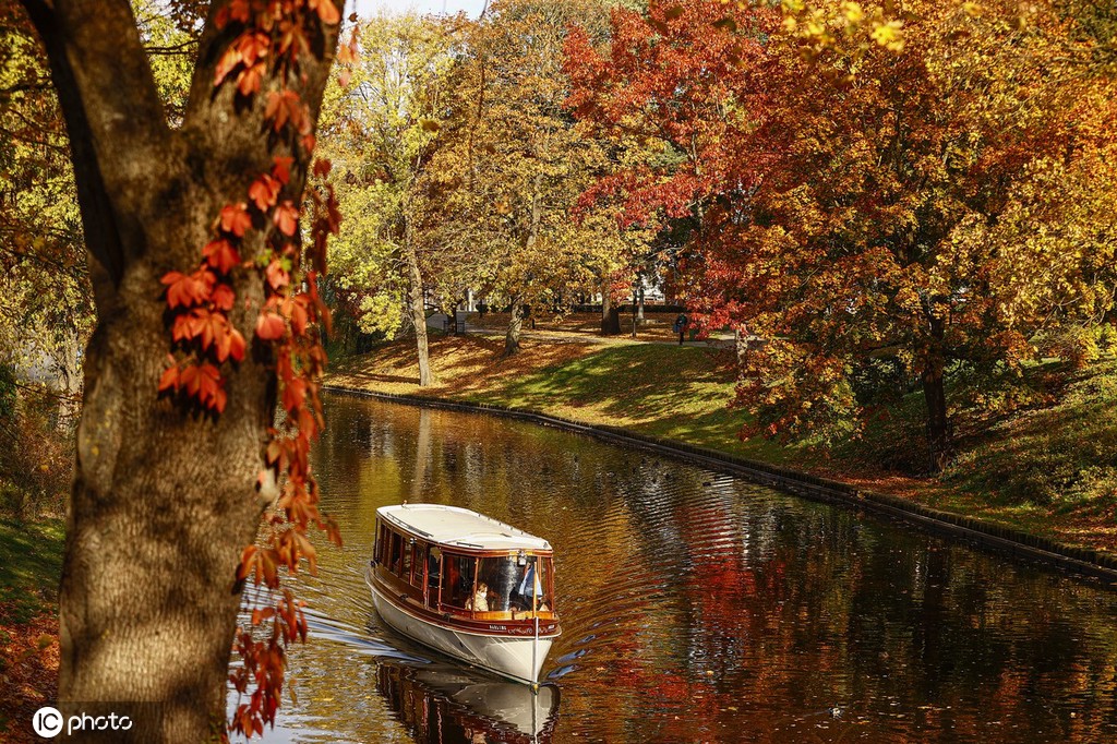 ICPhoto(qun)ƷՈD(zhun)d