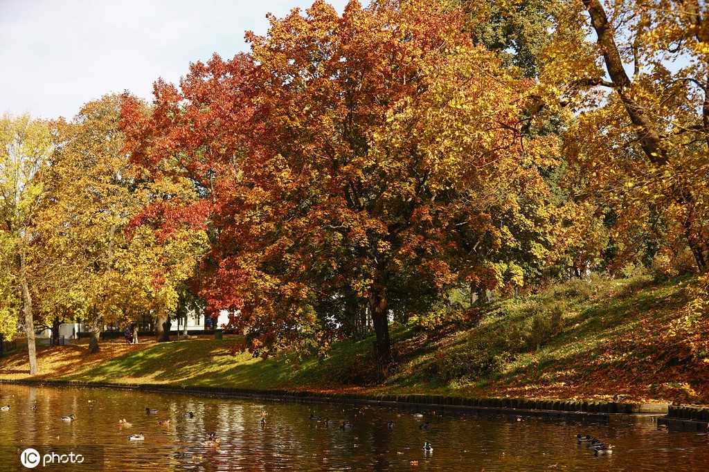 ICPhoto(qun)ƷՈD(zhun)d