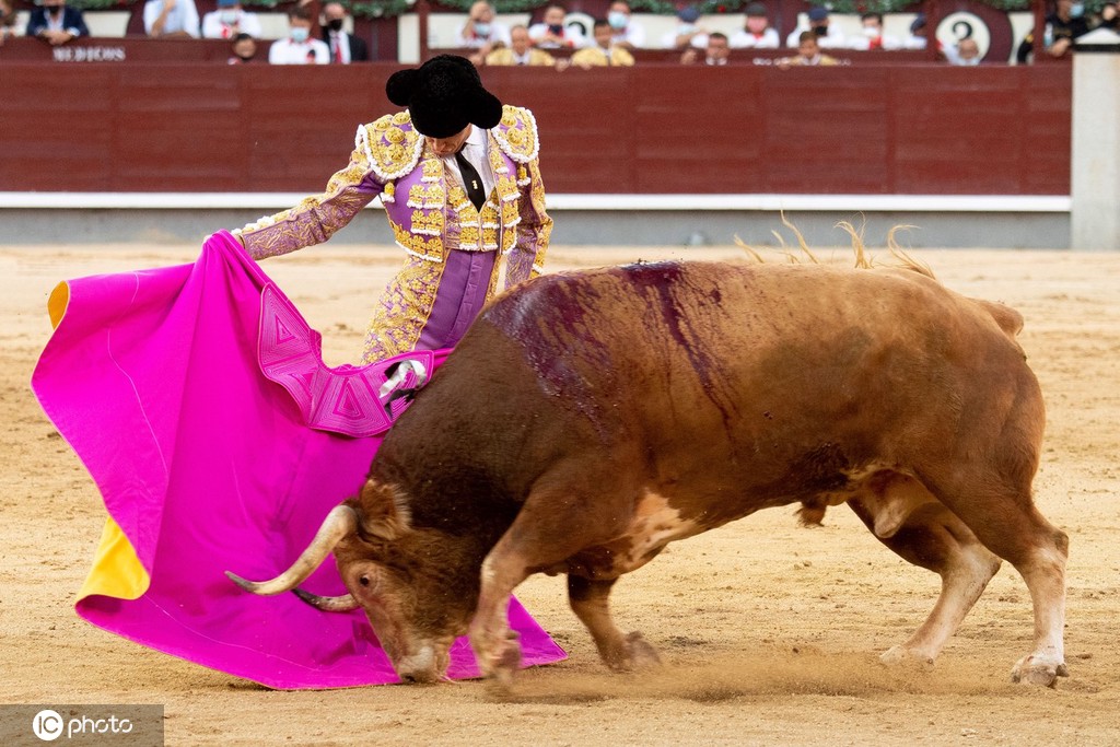 ICPhotoƷՈD(zhun)d