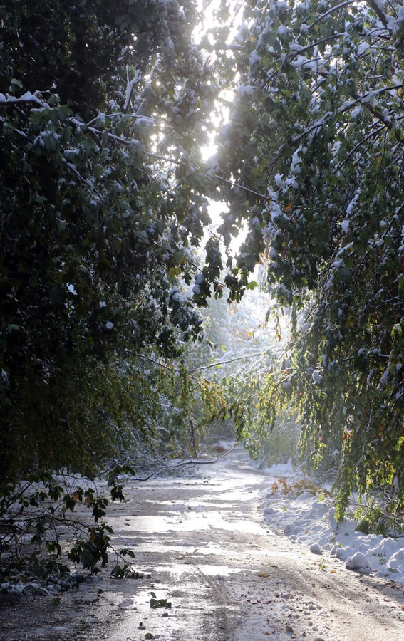 ICPhotoƷՈD(zhun)d