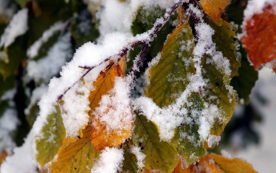 ICPhoto(qun)ƷՈ(qng)D(zhun)d