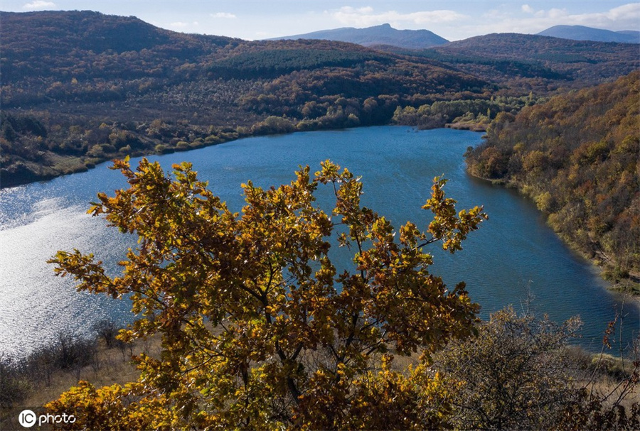 ICPhoto(qun)ƷՈD(zhun)d