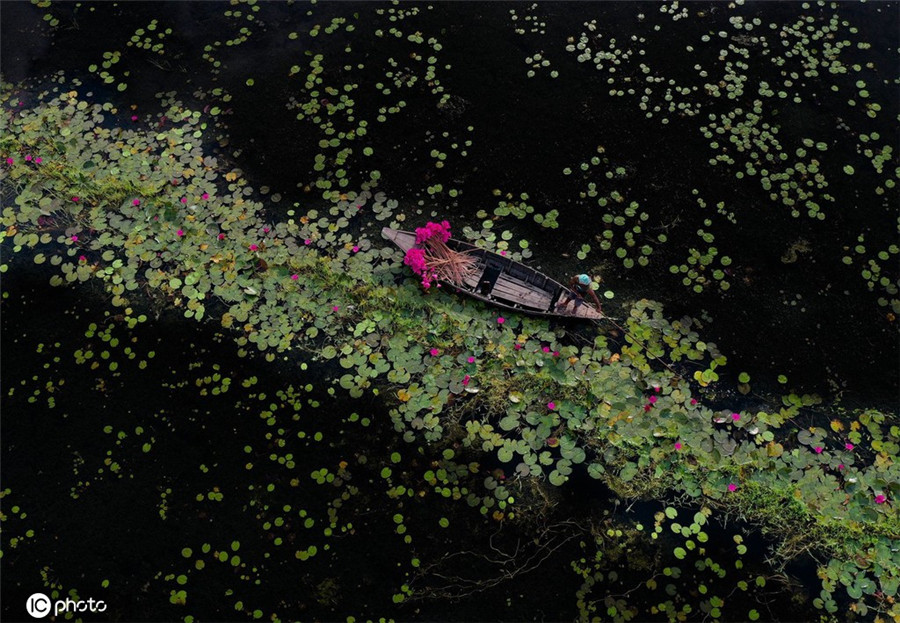 |IC(qun)ƷՈD(zhun)d