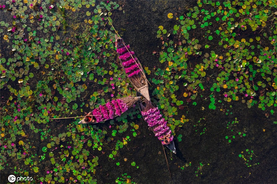 |IC(qun)ƷՈD(zhun)d