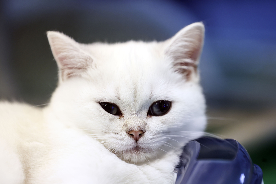 (dng)?sh)ؕr(sh)g1023˹̹2021Wﲩ[(hu)˹̹[eƷP(gun)ϼ(yng)̅չҕX(ju)Ї(gu)(qun)ƷՈ(qng)D(zhun)d