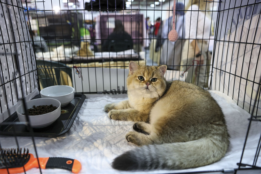 (dng)?sh)ؕr(sh)g1023˹̹2021Wﲩ[˹̹[eУƷP(gun)ϼ(yng)̅չҕXЇ(qun)ƷՈD(zhun)d